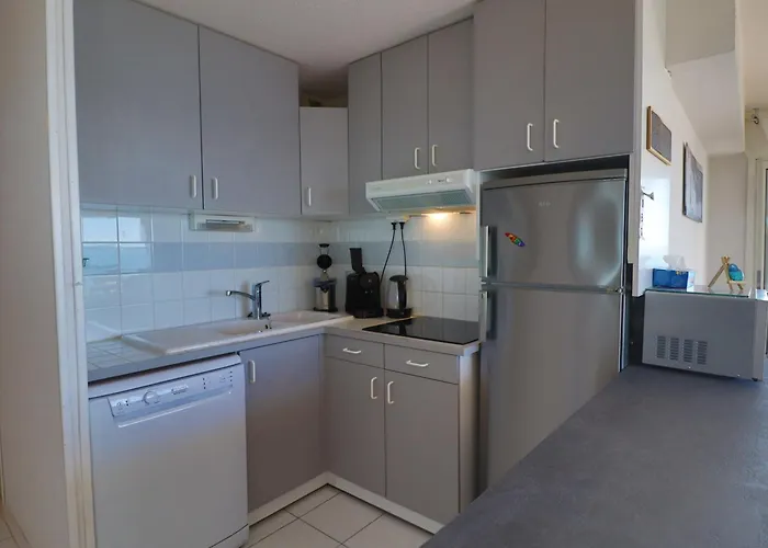 Appartement 50M² Avec Terrasse Panoramique A Sete - Fr-1-472A-240 * 塞特港