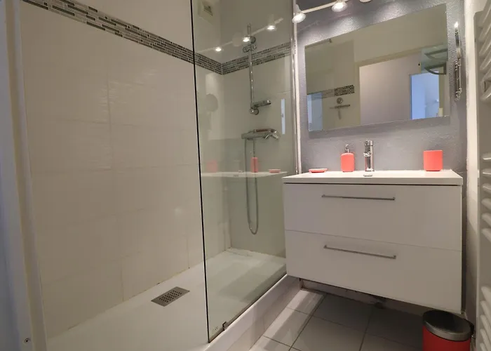 Appartement 50M² Avec Terrasse Panoramique A Sete - Fr-1-472A-240 塞特港